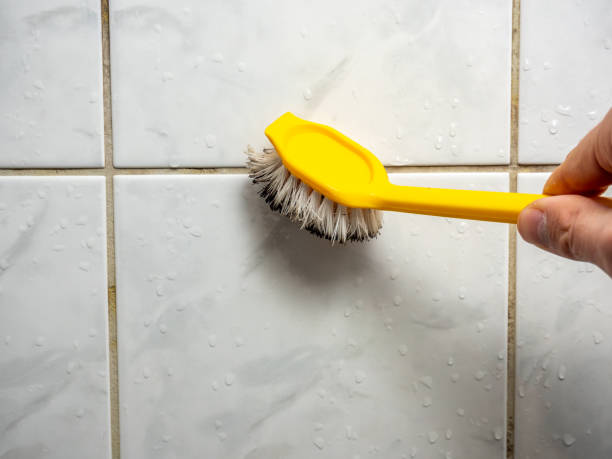Best Residential Mold Removal  in Fruitland, NC